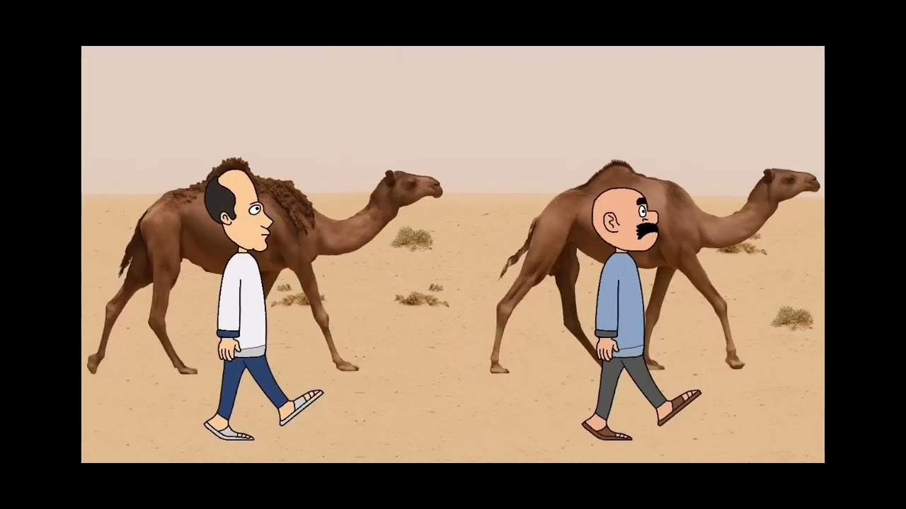  طاهر وحياوي لايك 