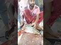 marketing fish cutting cal office first kilo fish in Sanskrit 👆👆👆👆👆👆👆👈👈👈👈