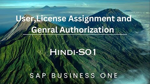 User ID,Licence Assignment and Genral Authorization in SAP Business One || S-01