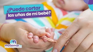 Consejos para cortar las uñas de tu recién nacido 🤚🏼#Shorts | Maternar.co