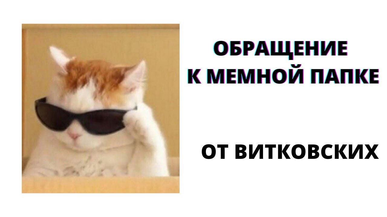 Ksenon леон memnaya papka. нухой бебро. обэма. мемная папка ксенон мемный папка. не буди мем ksenon memnaya papka.