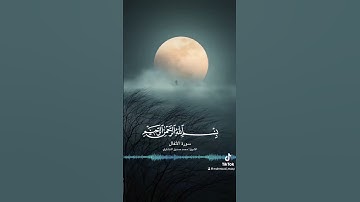 القرآن الكريم - سورة الأنفال بصوت الشيخ محمد صديق المنشاوي