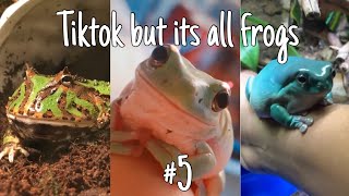 Tiktok but it’s all frogs #5