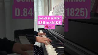 Sonata in A Minor D.845 op.42 (1825)/piano🌺🎶✨