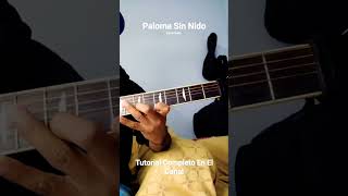 Vídeo de Paloma Sin Nido
