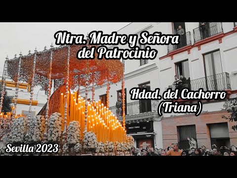Pontificia, Real e Ilustre Hermandad y Cofradía de Nazarenos del Santísimo Cristo de la Expiración y Nuestra Madre y Señora del Patrocinio en su Dolor y Gloria