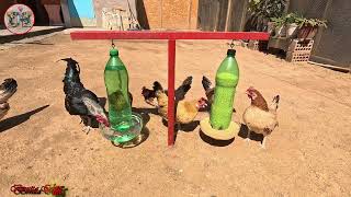 Una Idea Genial para criar a tus Gallinas 🐔🐓 un Comedero y Bebedero Automático hecho con reciclaje♻️