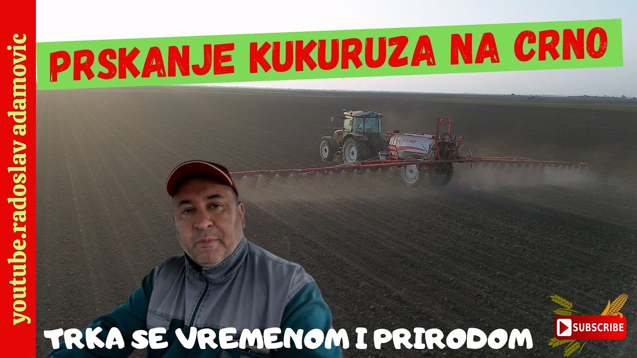PRSKANJE KUKURUZA NA CRNO: TRKA SA VREMENOM I PRIRODOM ; SPRAYING CORN: A RACE WITH TIME AND NATURE