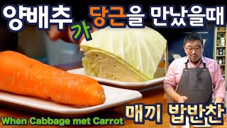 양배추 + 당근, 매끼 밥 반찬으로 맛있는 건강 습관을 만드세요, 15분안에 이틀반찬이 준비 됩니다. 준티비 양배추 당근, JUNTV cabbage & carrot