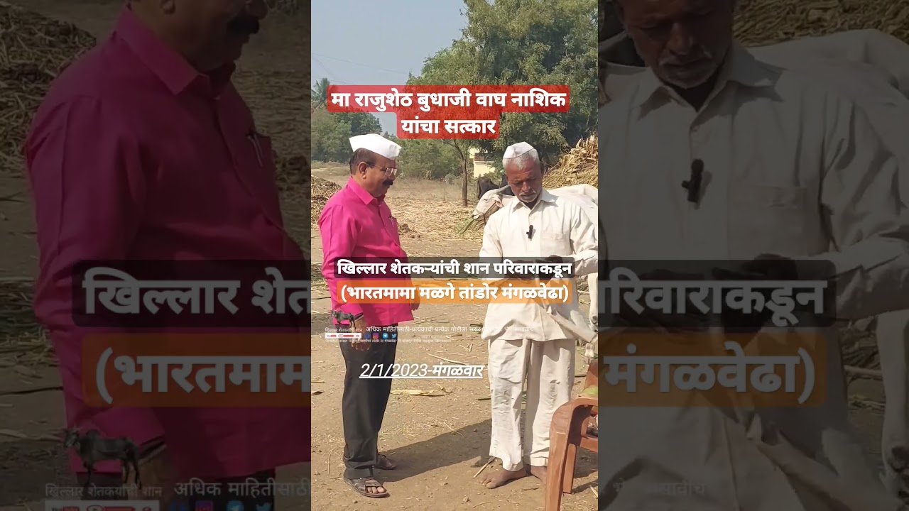 राजुशेठ बुधाजी वाघ नाशिक खिल्लार शेतकऱ्यांची शान परिवाराकडून सत्कार 