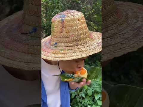 Make Ultraman with Oranges | Chinese Mountain Forest Life and Food #Moo Tik Tok#FYP