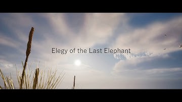 Elegy of the Last Elephant | short film | Unreal Engine | Animation Demo