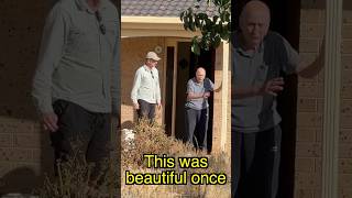 Satisfying Free Yard Cleanup