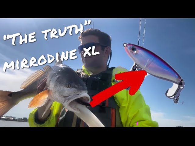 THE TRUTH” MIRRODINE XL! BEST SEARCH BAIT EVER???! 