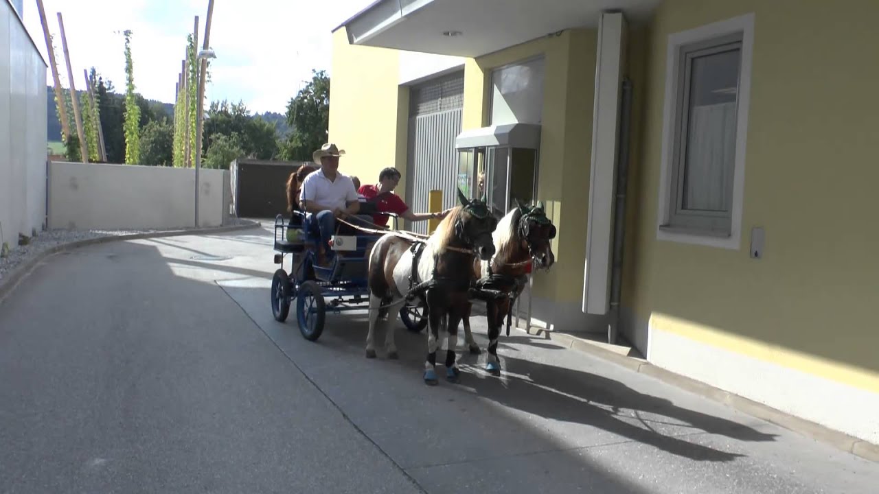 MCi mit der Ponykutsche