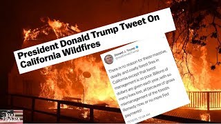 Donald trump tweeted about the california wildfires and everybody lost
it!!! here's where i'm at on it.
-----------------------------------------------------...