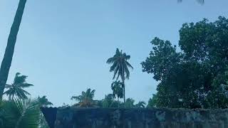 யாழ்ப்பாணத்தில் புயல்?|stronge winds in jaffna/jaffna vlog