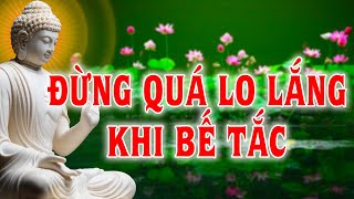 Phật Pháp Hằng Ngày