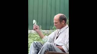 #pusat #buaşkınkatilisin