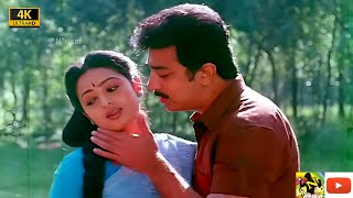 என்றும் மனதில் நீங்கா இடம் பிடித்த சில பாடல்கள்4K |#tamil love duet songs | #Ilayaraja #popular song