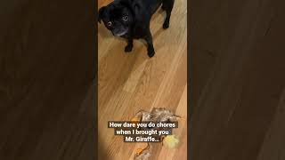 No To Dishes, Yes To Playtime Pug Life Dog Dramatic Stare