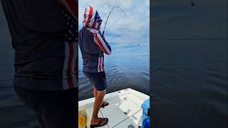How We Productively Troll for Tampa Bay Grouper #grouper #trollingfishing #tampabay