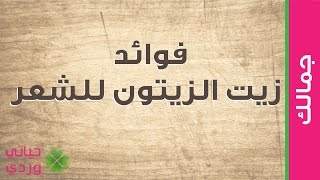 فوائد زيت الزيتون البكر للشعر