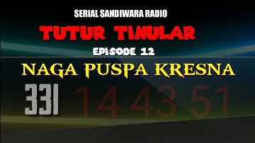 WONG AGUNG Bersedia Memberikan Tambahan Ilmu AJI SEGARA GENI Tingkat Lanjut Kepada Mpu BAJIL