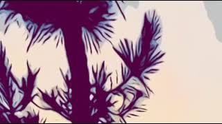 True Affection - The Blow