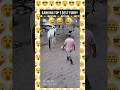 best funny human fails😂😂 #funny #shorts