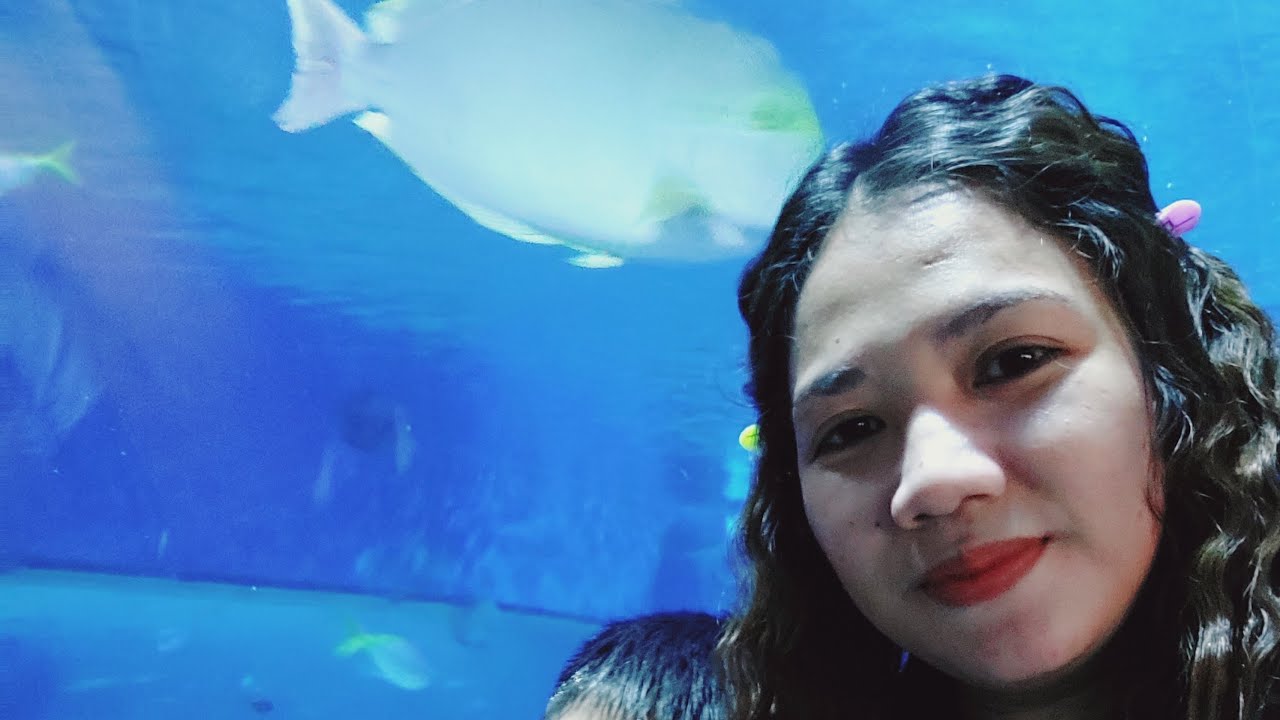 live manila ocean park YouTube