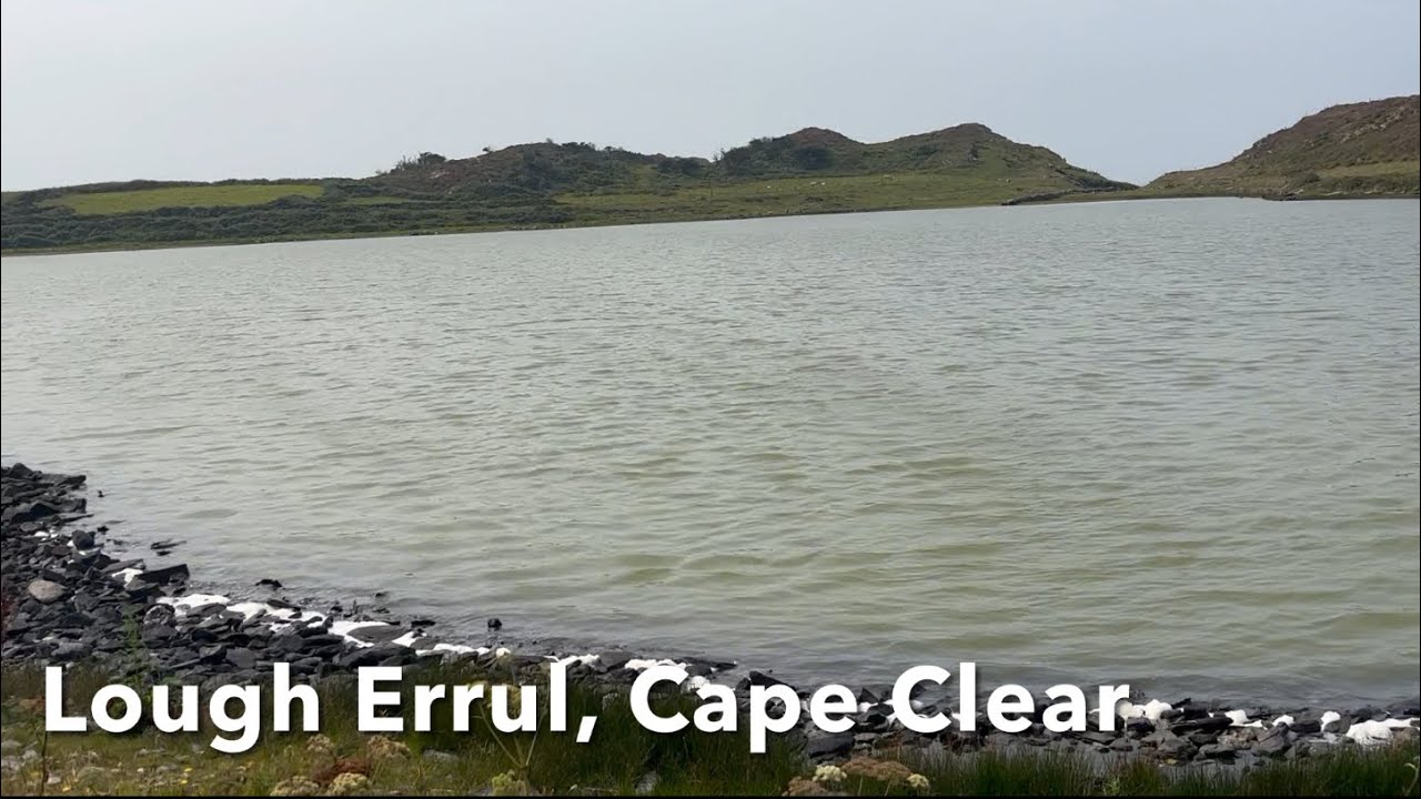 Wildlife of Lough Errul, Cape Clear (Cormorant, Little Grebe, Herring Gull and flowing water sounds)