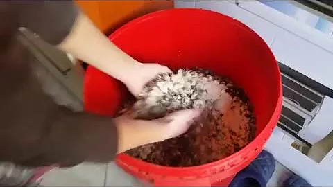 Jaké jsou krmiva pro hospodářská zvířata?