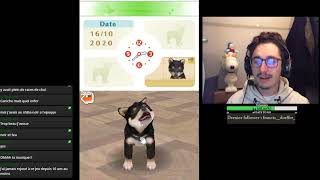 J'ouvre un chenil ! Nintendogs DS