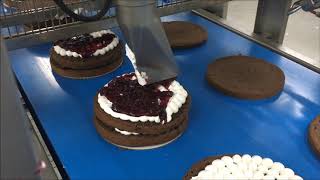 Automatic Line for Layer Cake 1