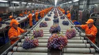 How Millions of Wine Bottles Are Made | Inside a Mega Factory