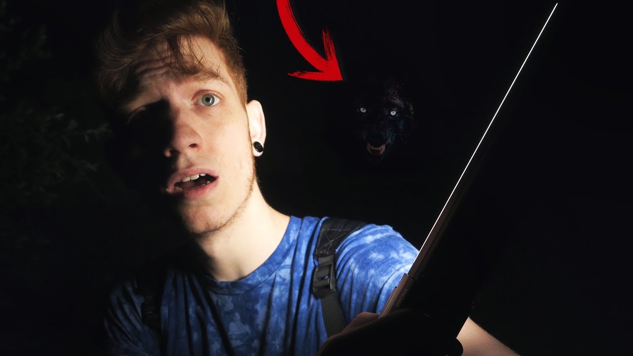 PERROS ASESINOS NOS PERSIGUEN | Elected