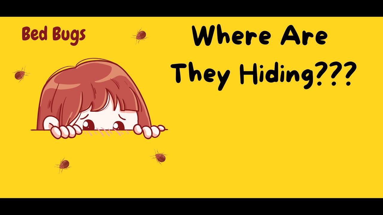 3 Places Bed Bugs are likely to Hide - eBook in the description