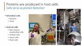 BIOL 246 Lab 1