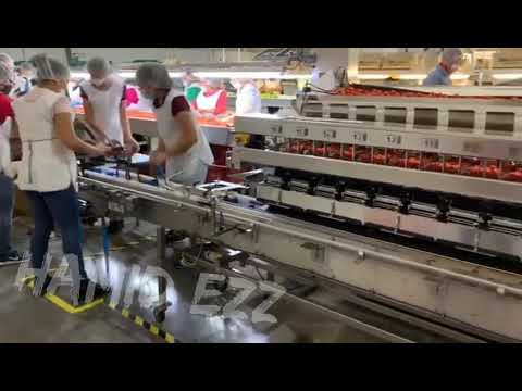 Vidéo: Équipement De Pesage - La Base De L'entrepôt Et De La Production Industrielle