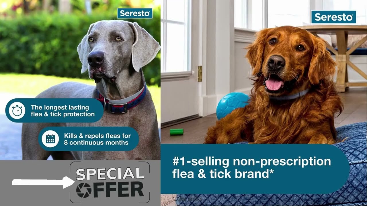 Seresto Large Dog Flea & Tick Collar