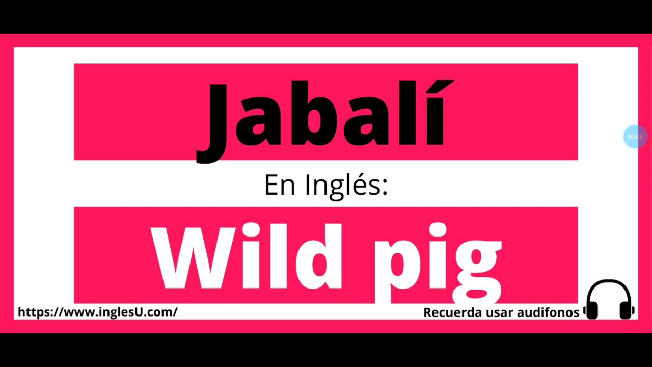 Como Se Dice Jabalí En Inglés