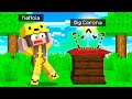 LA BIG CORONA È STATA RUBATA nella BIG VANILLA - Minecraft