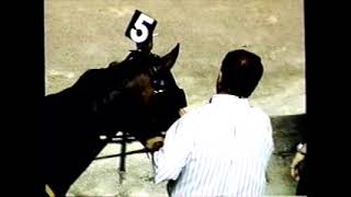 1997 Scioto Downs NOBLE SAM Randy Tharps Open Pace $9,000