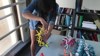 Fung Institute, Master of Engineering Capstone Project Pitch for The ULTRA Spine: Laika