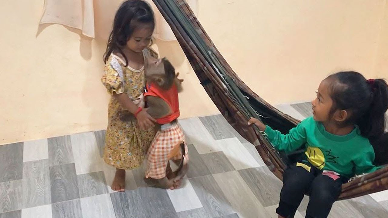 Little Jason Maturely Hug To Thank Sister Satya Swing Hammock