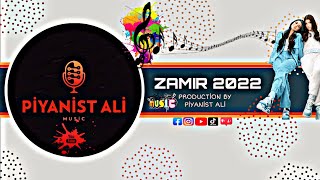 PİYANİST ALİ ZAMIR 2022 Resimi