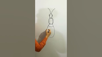 Bumblebee drawing tutorial