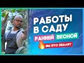 Ранняя весенняя обработка сада. Не тратьте время!