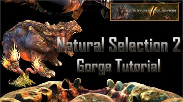 Natural Selection 2 Gorge Tutorial